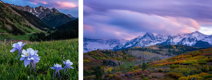 A Happy Color Columbine and Autumn Mountains